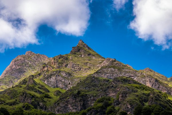 Explore york"s best historical walking tours for an unforgettable adventure